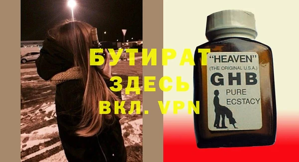 прущие грибы Бронницы