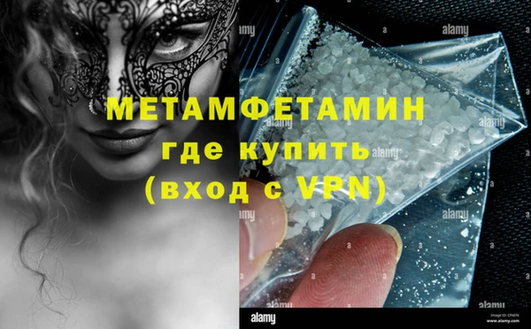 прущие грибы Бронницы