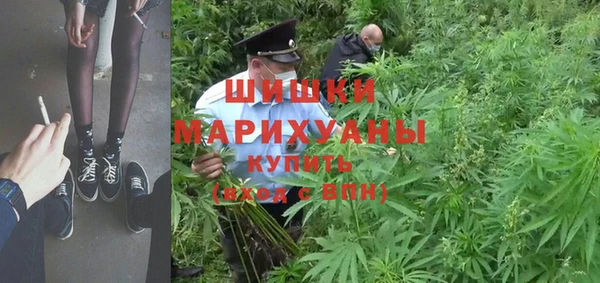сатива Верхний Тагил