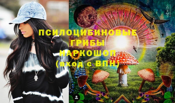 прущий лед Верея
