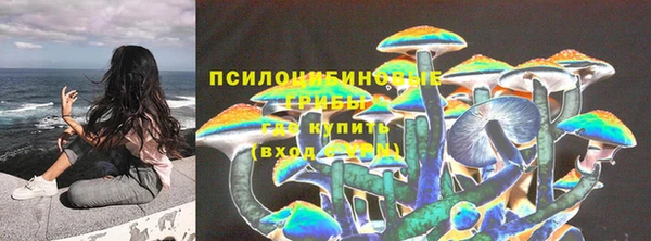 прущий лед Верея