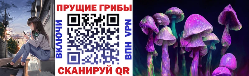 Псилоцибиновые грибы Psilocybe  Купить  Дмитриев 