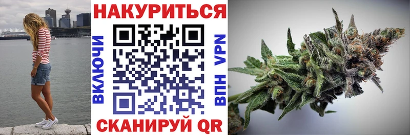 МАРИХУАНА сатива Дмитриев